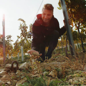 leohillinger_Weingaten_Leo HILLINGER GmbH